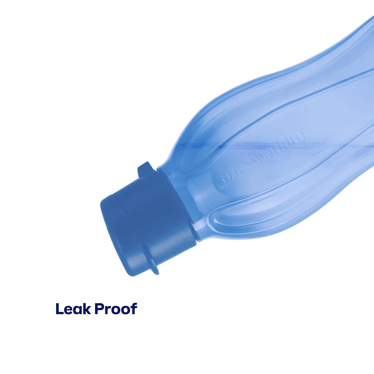 Eco+ Bottle | Small | 16 oz. / 500 mL - Image 3