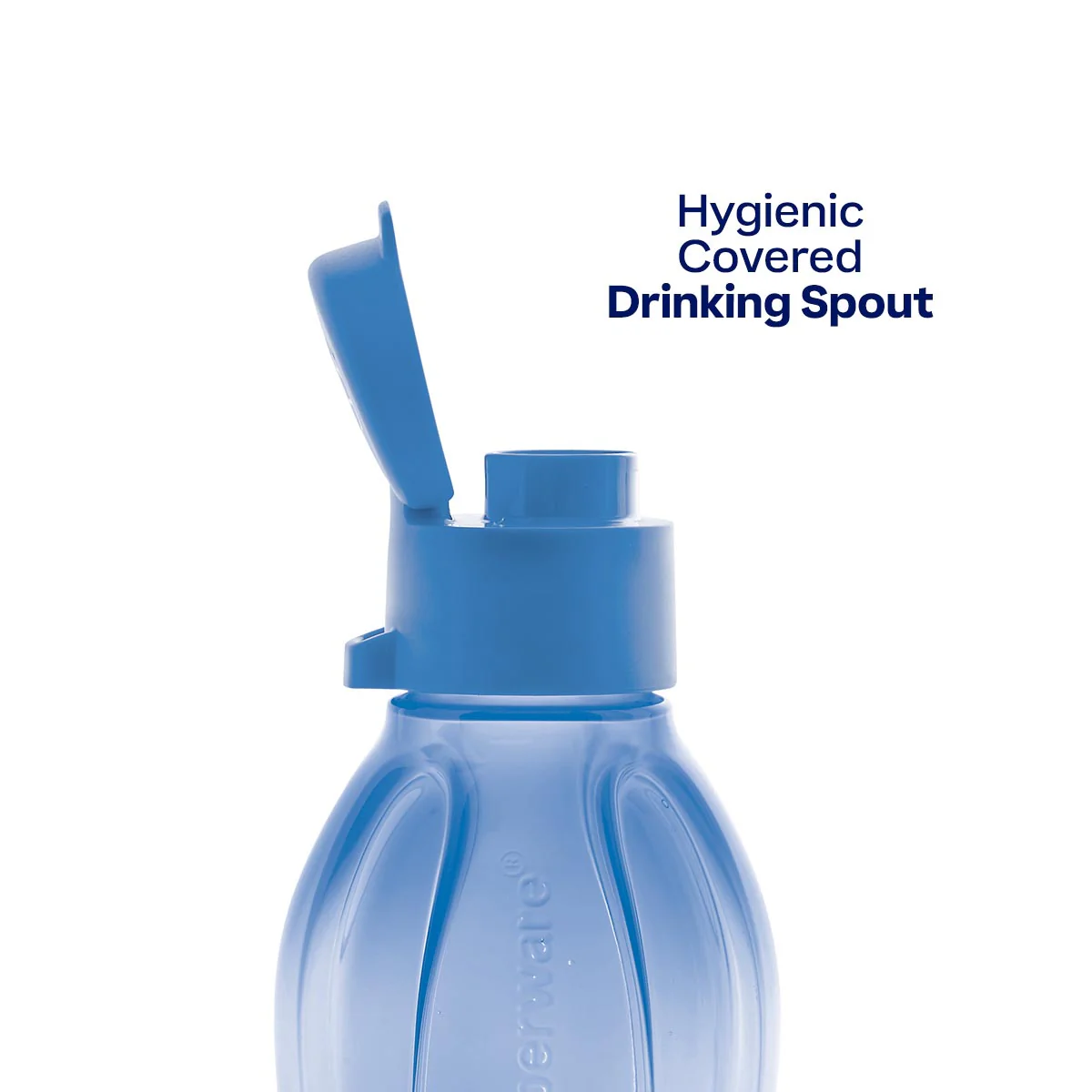 Eco+ Bottle | Small | 16 oz. / 500 mL - Image 4